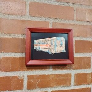 Burglar Pop Art Sun Tran Bus Tucson Arizona